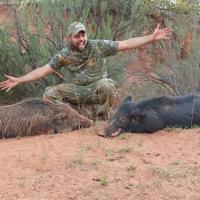 Brandon's 2 Texas Hogs