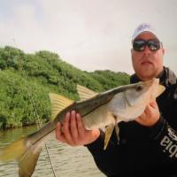 Snook