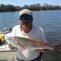 Rare 9 spot RedFish