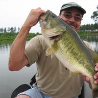 Nice Bass Imported Photos 00002
