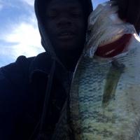 Fat Crappie