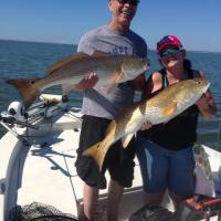 Fishing Bull Reds