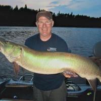 Lake Of The Woods Musky
