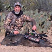 Javelina On a Texas Lease