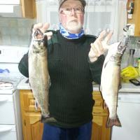 Trout in New Brunswick