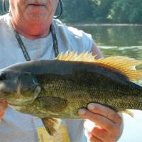 Smallie in low water.