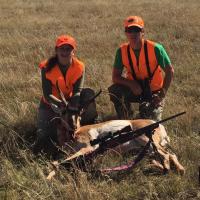 Pronghorn