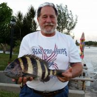 Porgy Sheepshead, Atlantic Fishing