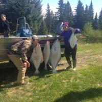Pacific Halibut
