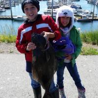 Catching Halibut