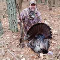 Turkey from Bass River