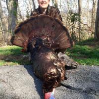 Sandy Dougherty Turkey