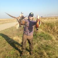 It's that time for Pheasant Hunting