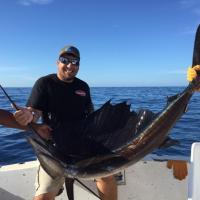 Sailfish