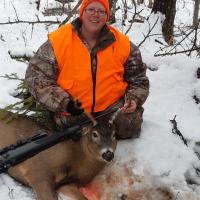 New Brunswick Deer