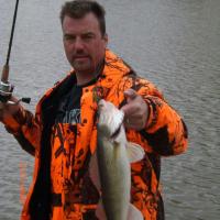Walleye