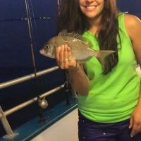 Porgy