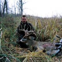 Buck by Bow
