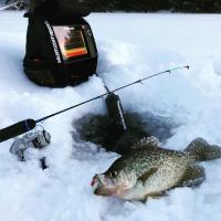 Big Crappie With The Help of The Helix 7