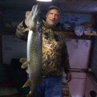 Minnesota Northern Pike