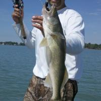 Nice Walleye