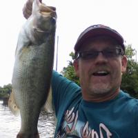 Nice Bass