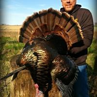 Iowa Turkey