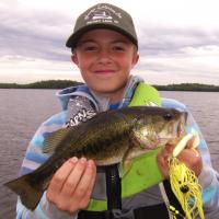 Bass On a Spinner Bait
