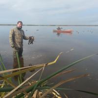 Duck Hunting