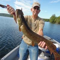 34 inch Pike