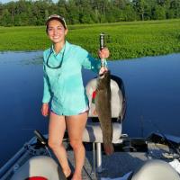 Bowfin