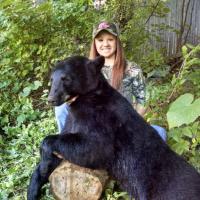Bear Hunting In NH
