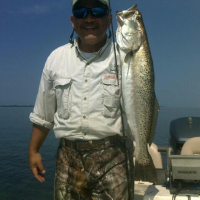 Saltwater Trout