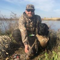 Bird Dog
