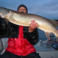 Canadian Muskie