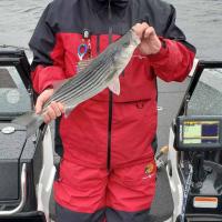 Striper Cup Tournament