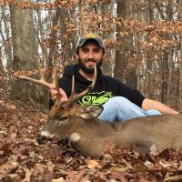 Matt Millard"s Deer