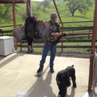 Veterans Sportsman Alliance Turkey Hunt