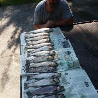 All in a day's fishing