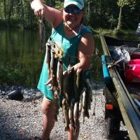 Stringer of fish