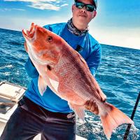 Nice Red Snapper
