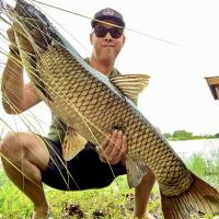 Giant Grass Carp