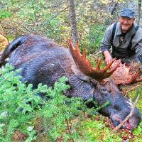 A successful moose hunt