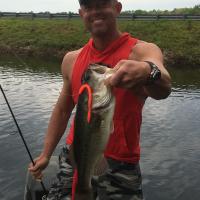 Nice largemouth bass