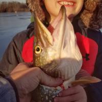 Now I'm catching pike