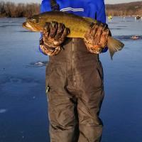 It takes big hands to hold this fish