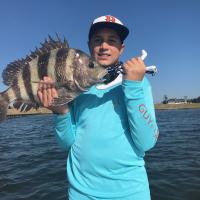 Nice Sheepshead