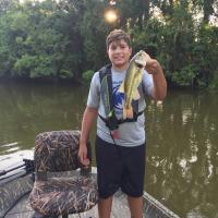 Bass on a river