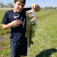 Big Bass