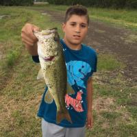 Nice size bass
